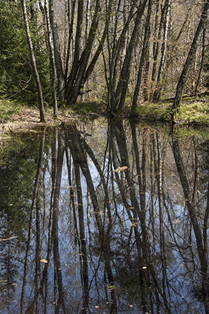 20180415_c18.jpg