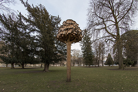 20180308_c29.jpg