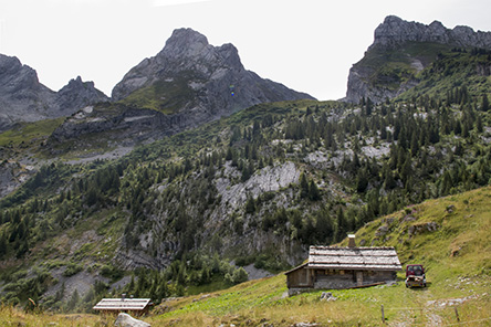 20150726_c01.jpg