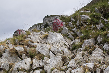 20150726_c03.jpg