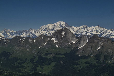 20190608_c15.jpg