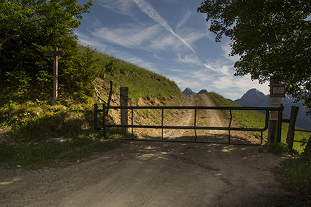 20190608_c22.jpg
