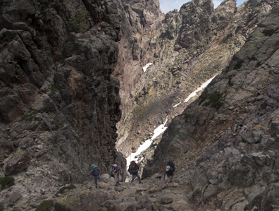 20090626_c14.jpg