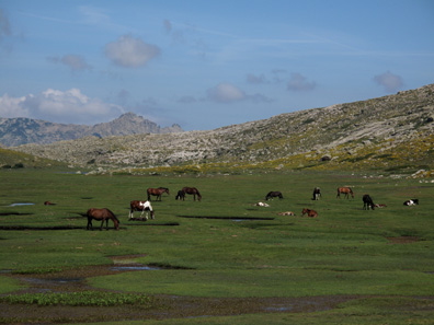 20090628_c12.jpg