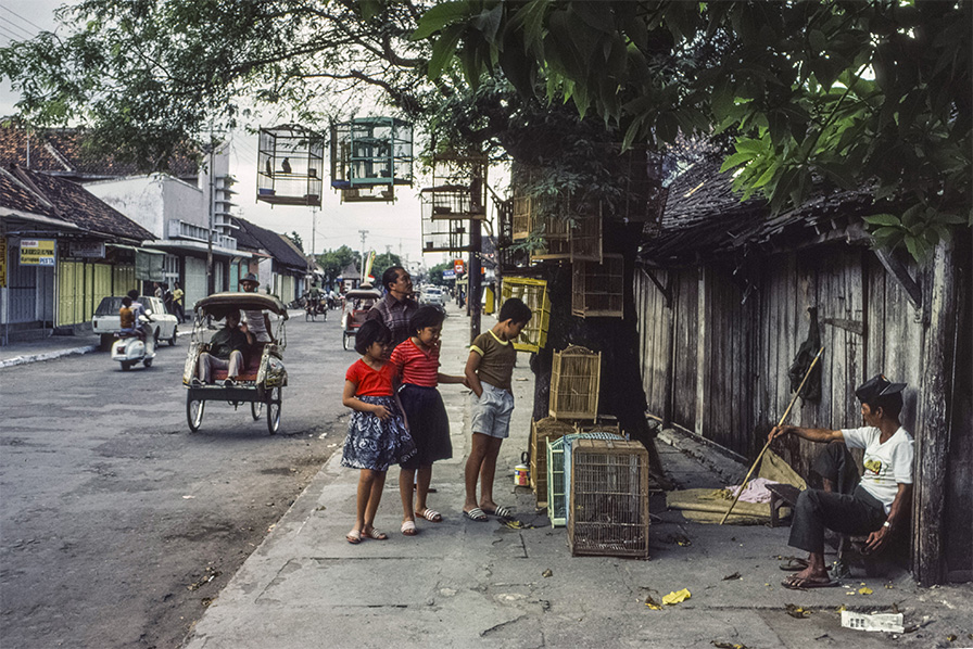 Yogyakarta 19800814_d13024