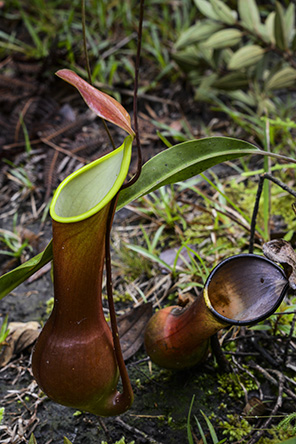 20160326_c27.jpg