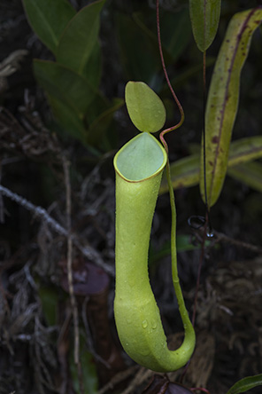 20160328_c02.jpg