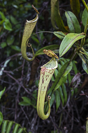 20160328_c10.jpg