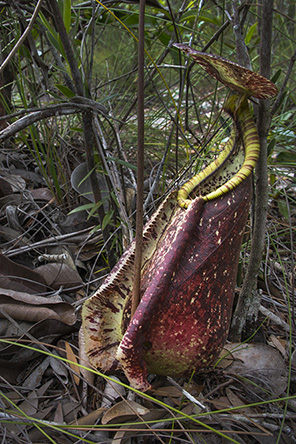 20160406_c53.jpg