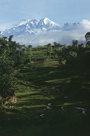 19820723_d15107.jpg
