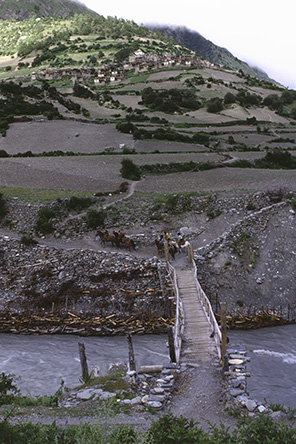 19820727_d15235.jpg