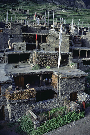 19820728_d15325.jpg