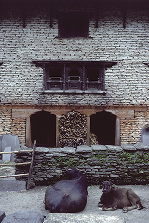 19820806_d15534.jpg