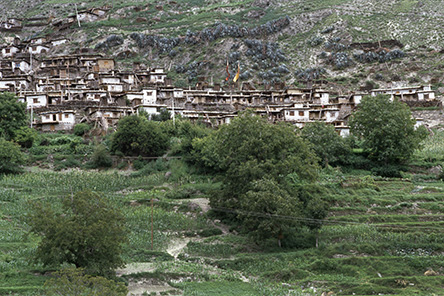 20060731_d46734.jpg